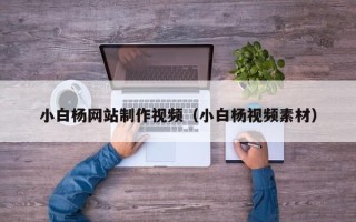 抚顺小白杨网站制作视频（小白杨视频素材）